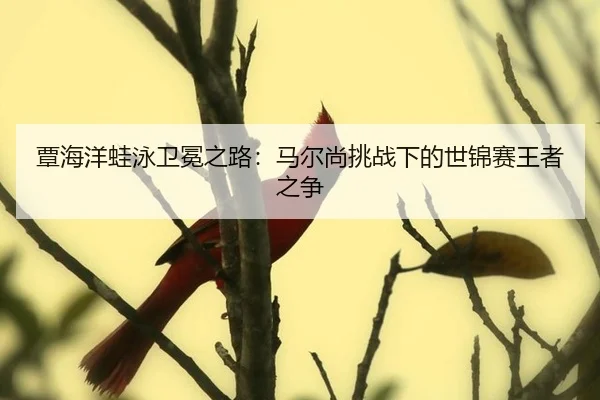 tan-hai-yang-wa-yong-wei-mian-zhi-lu-ma-er-shang-tiao-zhan-xia-de-shi-jin-sai-wang-zhe-zhi-zheng-2-460.jpg