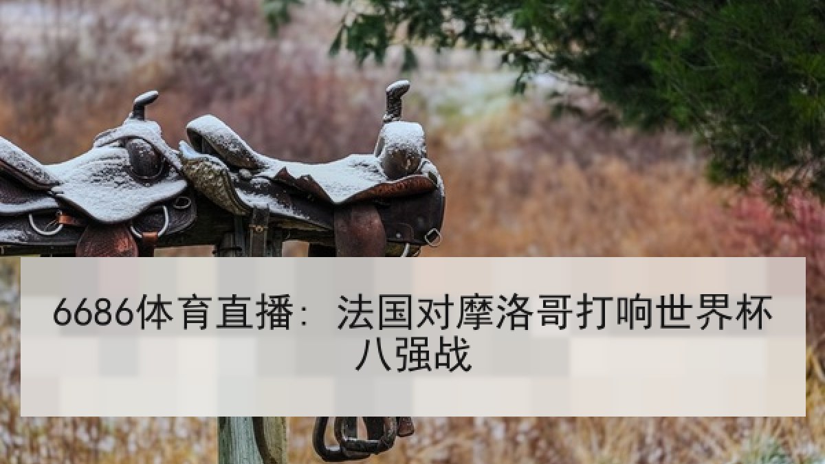 6686体育直播: 法国对摩洛哥打响世界杯八强战