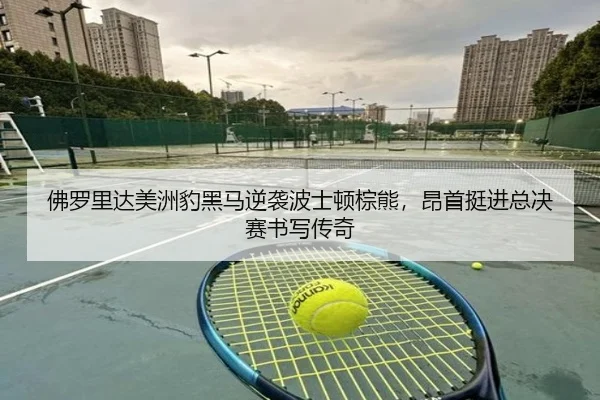佛罗里达美洲豹黑马逆袭波士顿棕熊，昂首挺进总决赛书写传奇